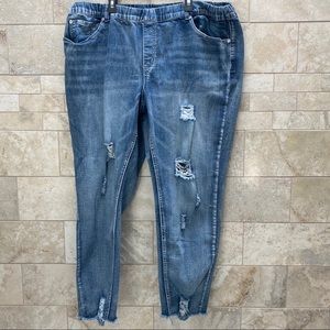 Ashley Stewart Pull On Jeggings